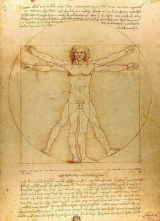 Leonardo da Vinci, Public domain, via Wikimedia Commons